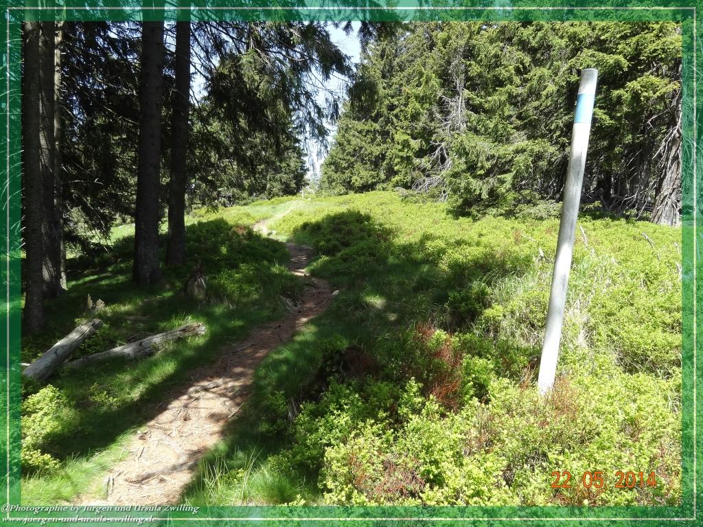 Philosophische Bildwanderung Zwercheck Osser –Bayerischer Wald – Deutsch –Tschechische- Grenzwanderung