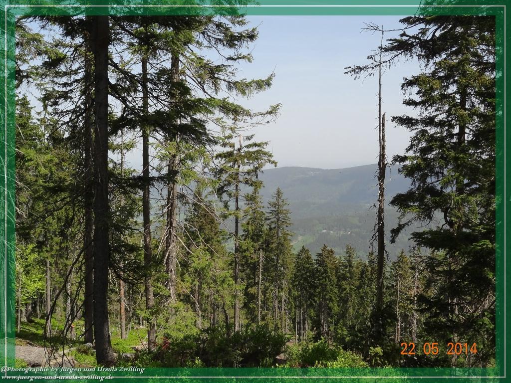 Philosophische Bildwanderung Zwercheck Osser –Bayerischer Wald – Deutsch –Tschechische- Grenzwanderung