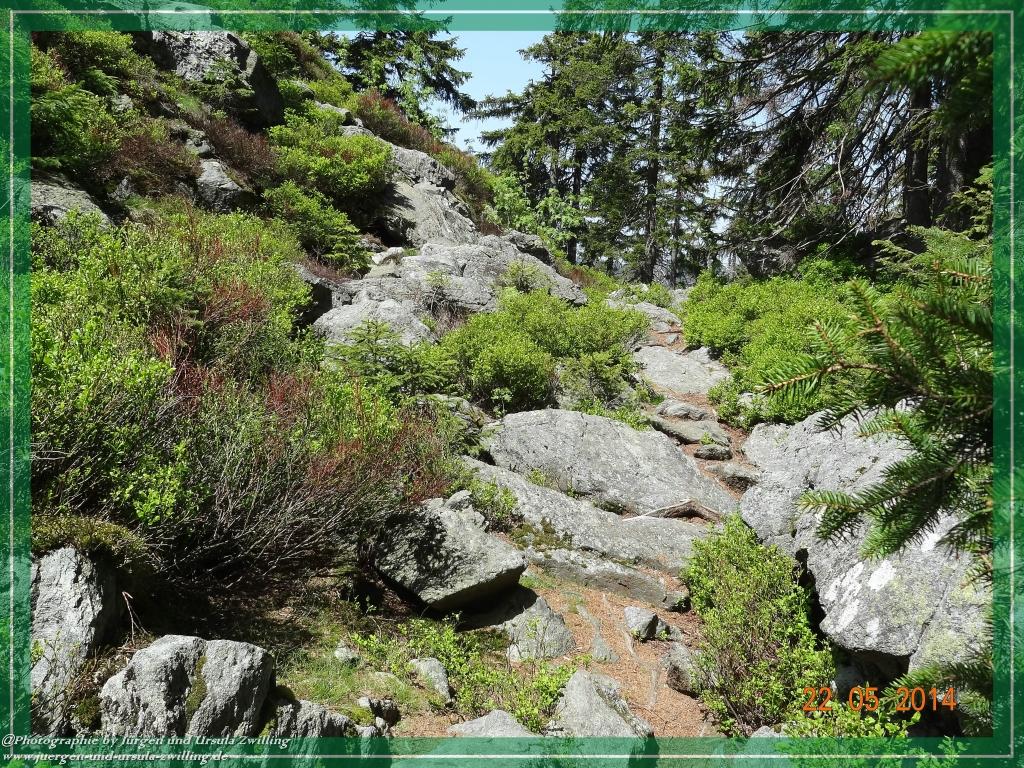 Philosophische Bildwanderung Zwercheck Osser –Bayerischer Wald – Deutsch –Tschechische- Grenzwanderung