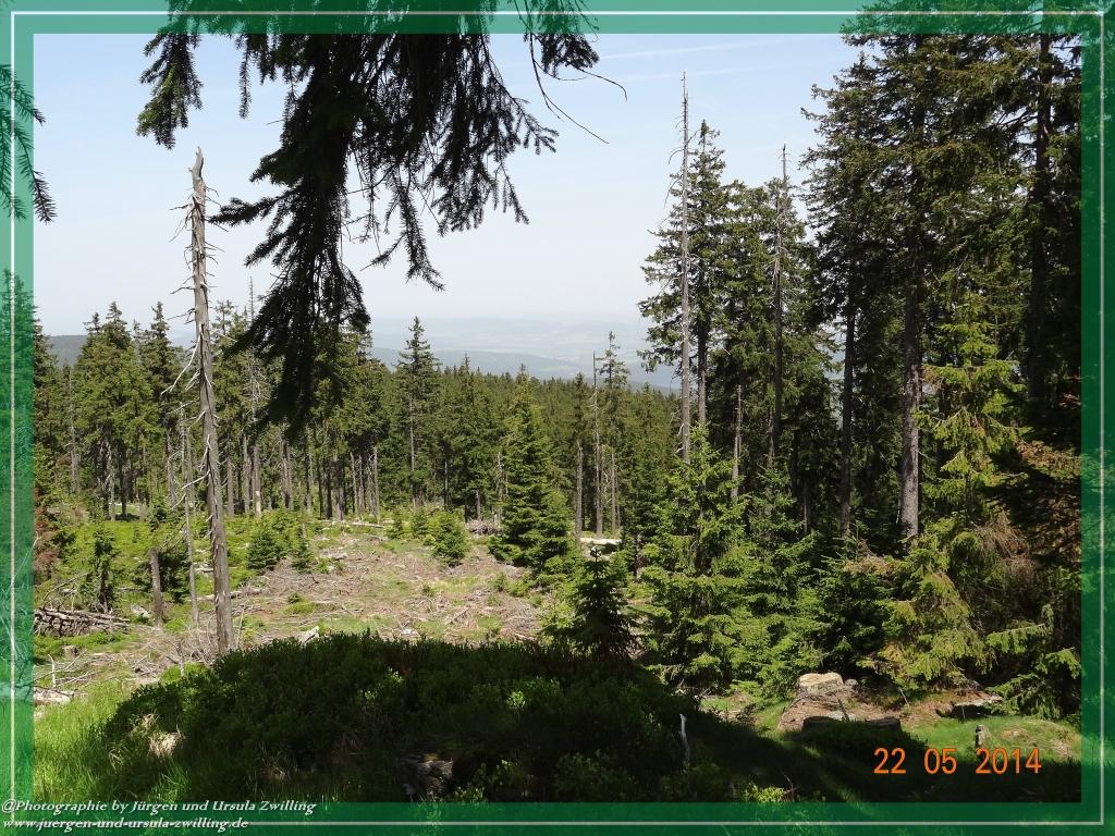 Philosophische Bildwanderung Zwercheck Osser –Bayerischer Wald – Deutsch –Tschechische- Grenzwanderung