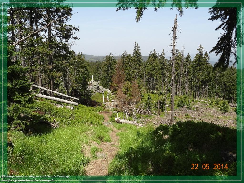 Philosophische Bildwanderung Zwercheck Osser –Bayerischer Wald – Deutsch –Tschechische- Grenzwanderung