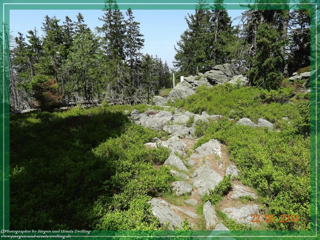 Philosophische Bildwanderung Zwercheck Osser –Bayerischer Wald – Deutsch –Tschechische- Grenzwanderung