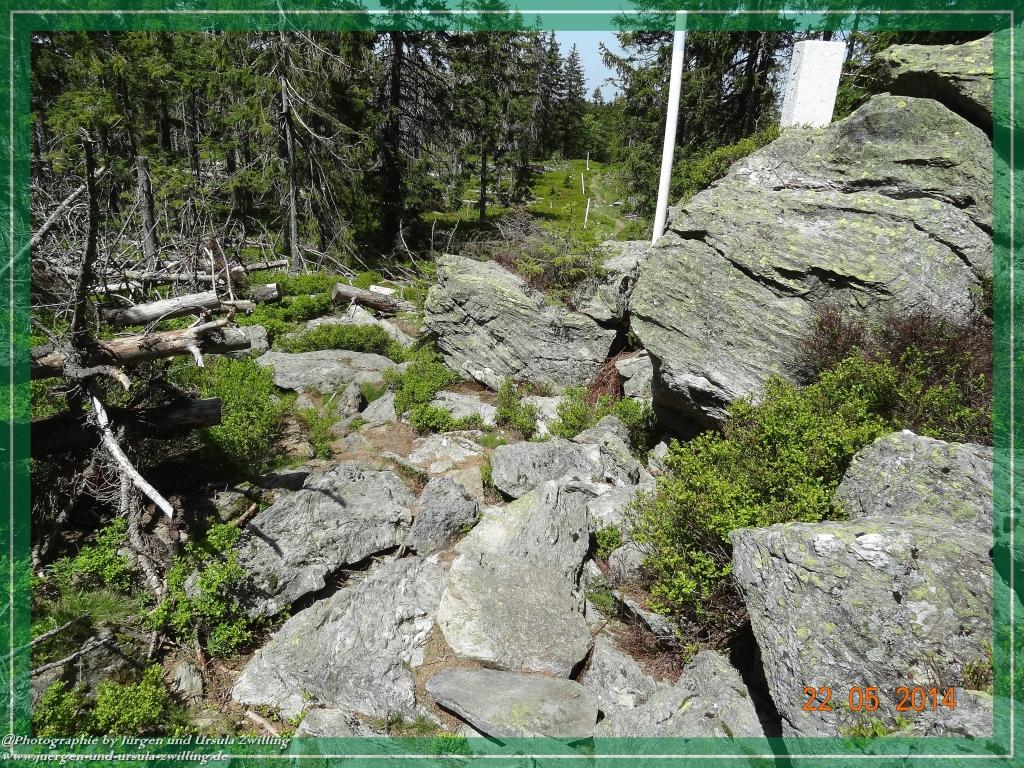Philosophische Bildwanderung Zwercheck Osser –Bayerischer Wald – Deutsch –Tschechische- Grenzwanderung