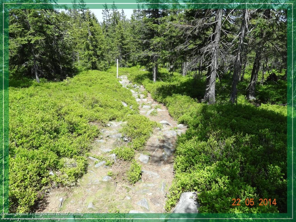 Philosophische Bildwanderung Zwercheck Osser –Bayerischer Wald – Deutsch –Tschechische- Grenzwanderung