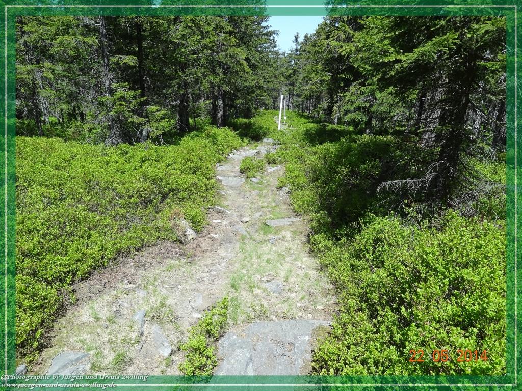 Philosophische Bildwanderung Zwercheck Osser –Bayerischer Wald – Deutsch –Tschechische- Grenzwanderung