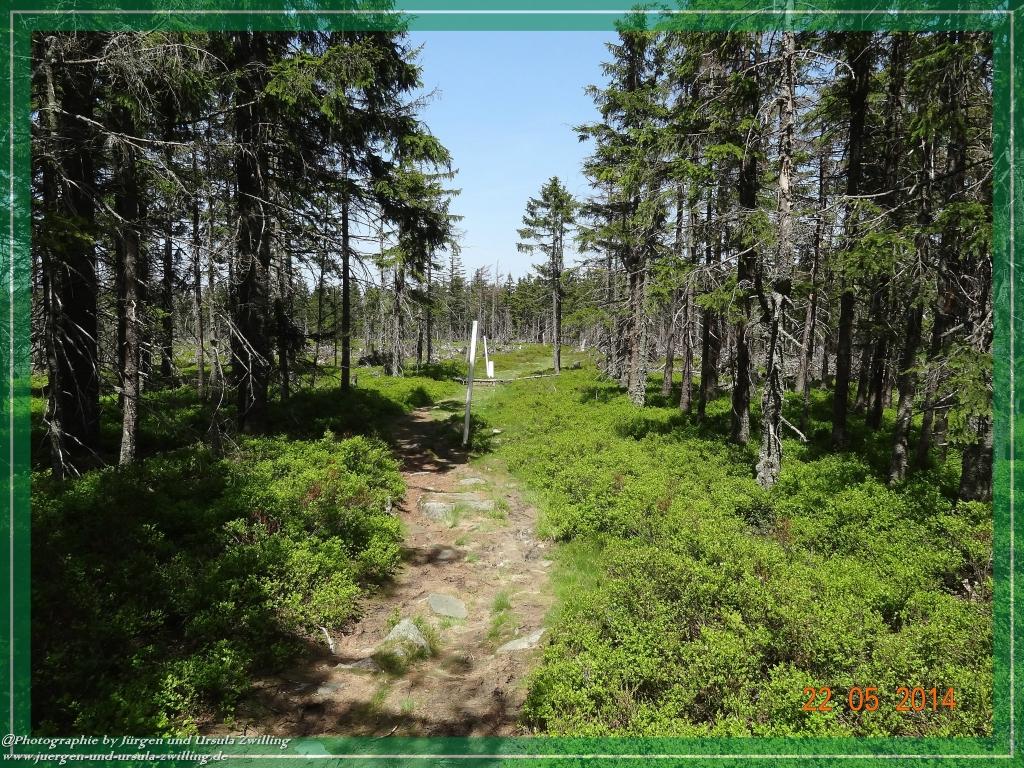 Philosophische Bildwanderung Zwercheck Osser –Bayerischer Wald – Deutsch –Tschechische- Grenzwanderung