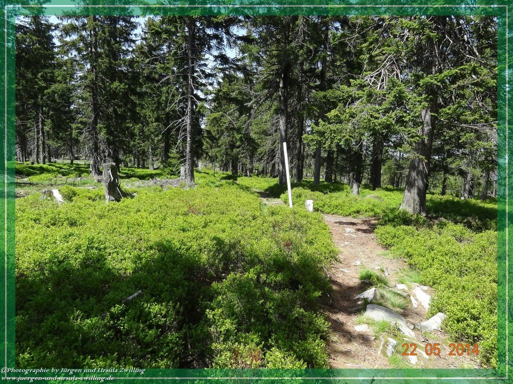 Philosophische Bildwanderung Zwercheck Osser –Bayerischer Wald – Deutsch –Tschechische- Grenzwanderung