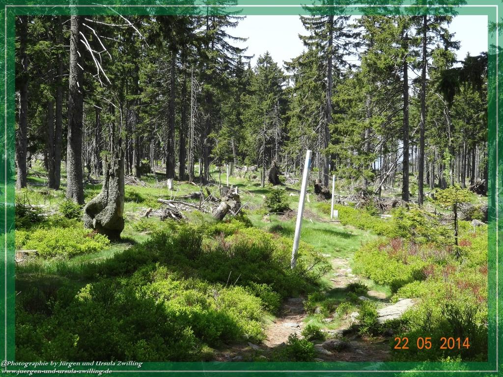 Philosophische Bildwanderung Zwercheck Osser –Bayerischer Wald – Deutsch –Tschechische- Grenzwanderung