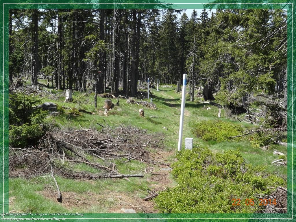 Philosophische Bildwanderung Zwercheck Osser –Bayerischer Wald – Deutsch –Tschechische- Grenzwanderung