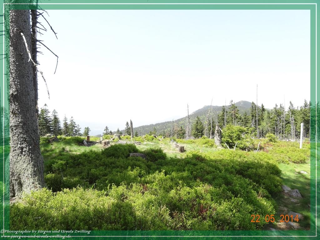 Philosophische Bildwanderung Zwercheck Osser –Bayerischer Wald – Deutsch –Tschechische- Grenzwanderung