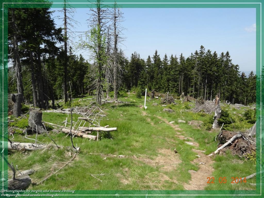 Philosophische Bildwanderung Zwercheck Osser –Bayerischer Wald – Deutsch –Tschechische- Grenzwanderung