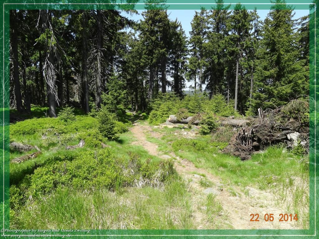 Philosophische Bildwanderung Zwercheck Osser –Bayerischer Wald – Deutsch –Tschechische- Grenzwanderung