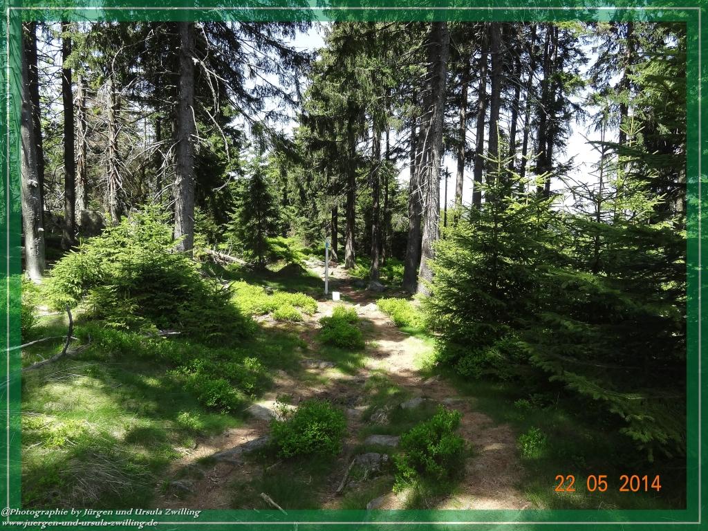 Philosophische Bildwanderung Zwercheck Osser –Bayerischer Wald – Deutsch –Tschechische- Grenzwanderung
