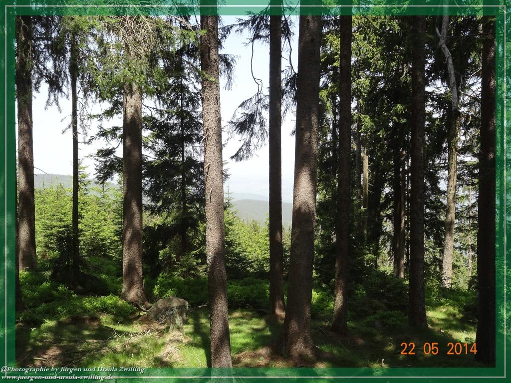 Philosophische Bildwanderung Zwercheck Osser –Bayerischer Wald – Deutsch –Tschechische- Grenzwanderung