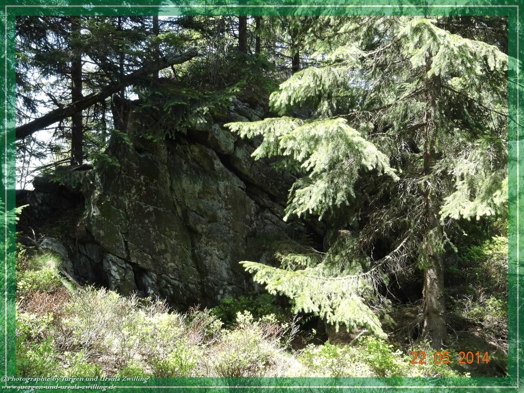 Philosophische Bildwanderung Zwercheck Osser –Bayerischer Wald – Deutsch –Tschechische- Grenzwanderung