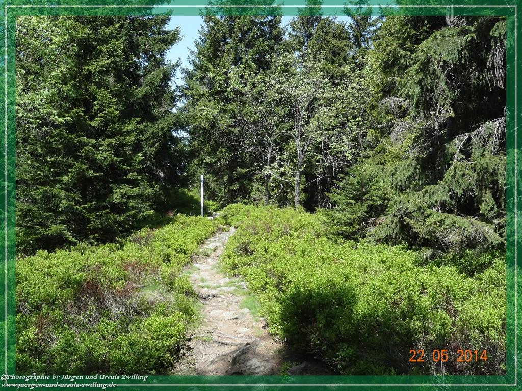 Philosophische Bildwanderung Zwercheck Osser –Bayerischer Wald – Deutsch –Tschechische- Grenzwanderung