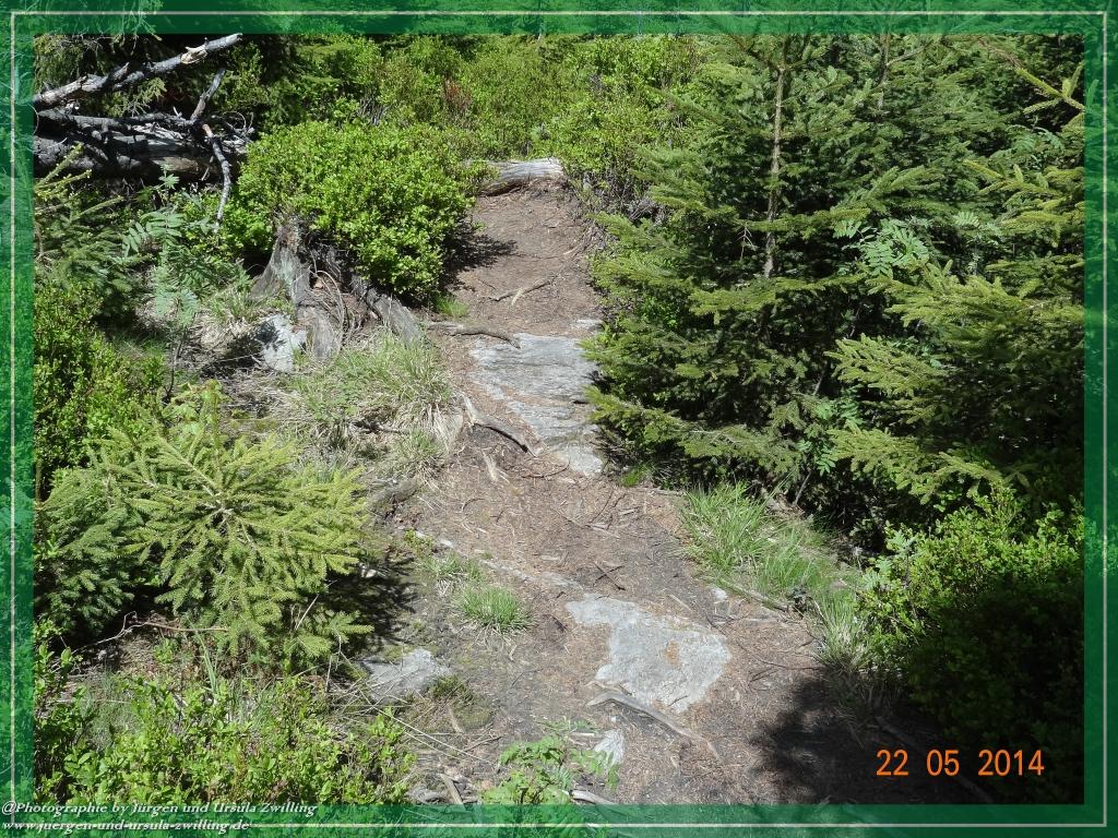 Philosophische Bildwanderung Zwercheck Osser –Bayerischer Wald – Deutsch –Tschechische- Grenzwanderung