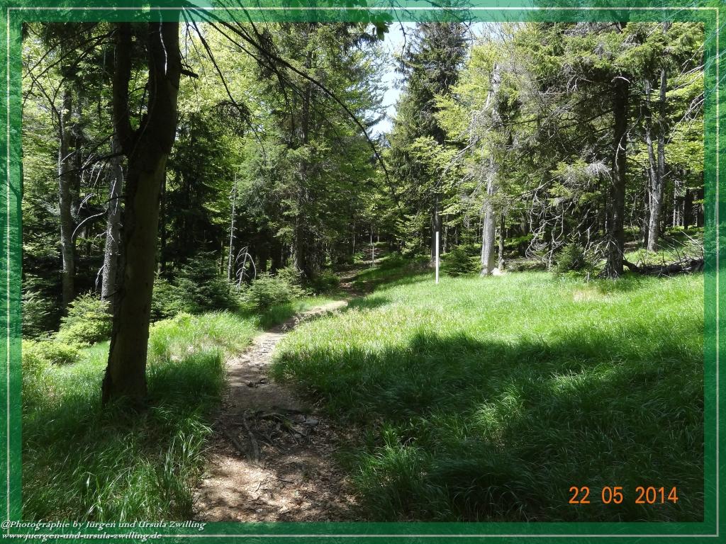 Philosophische Bildwanderung Zwercheck Osser –Bayerischer Wald – Deutsch –Tschechische- Grenzwanderung