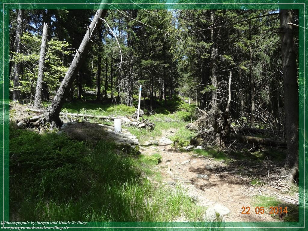 Philosophische Bildwanderung Zwercheck Osser –Bayerischer Wald – Deutsch –Tschechische- Grenzwanderung