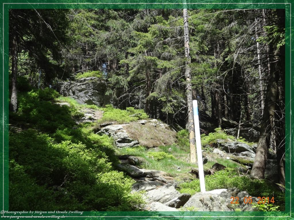 Philosophische Bildwanderung Zwercheck Osser –Bayerischer Wald – Deutsch –Tschechische- Grenzwanderung