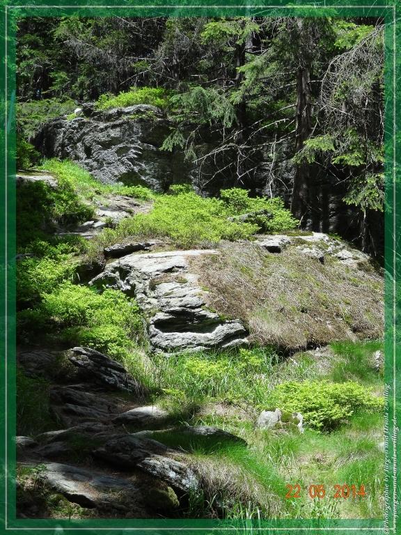 Philosophische Bildwanderung Zwercheck Osser –Bayerischer Wald – Deutsch –Tschechische- Grenzwanderung