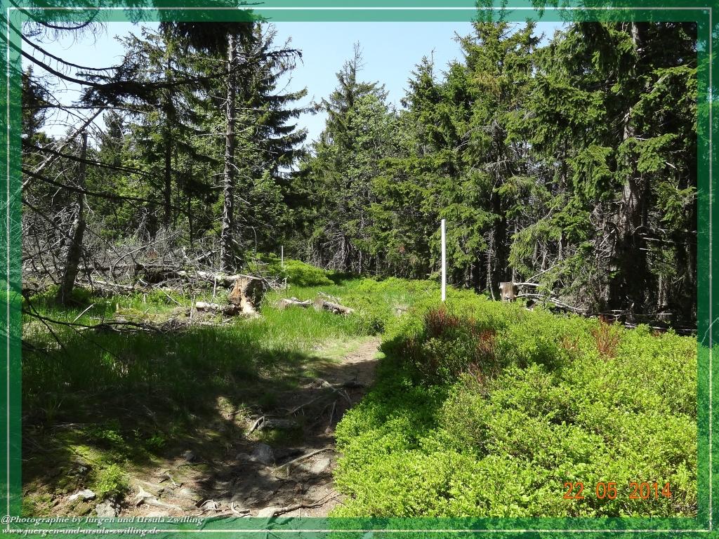 Philosophische Bildwanderung Zwercheck Osser –Bayerischer Wald – Deutsch –Tschechische- Grenzwanderung