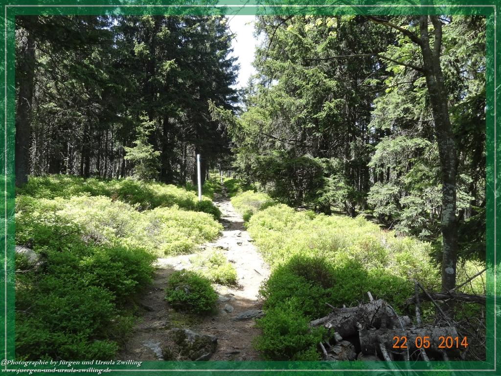Philosophische Bildwanderung Zwercheck Osser –Bayerischer Wald – Deutsch –Tschechische- Grenzwanderung