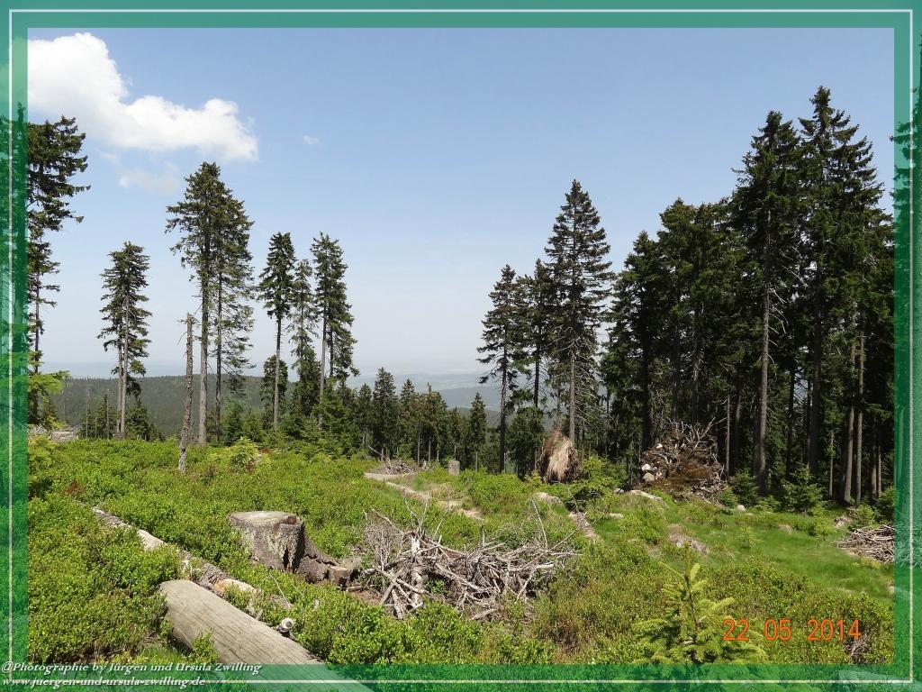 Philosophische Bildwanderung Zwercheck Osser –Bayerischer Wald – Deutsch –Tschechische- Grenzwanderung