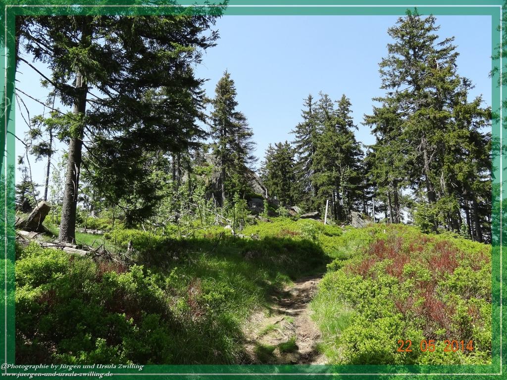 Philosophische Bildwanderung Zwercheck Osser –Bayerischer Wald – Deutsch –Tschechische- Grenzwanderung