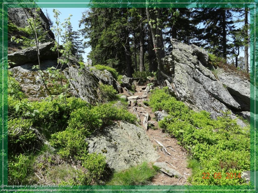 Philosophische Bildwanderung Zwercheck Osser –Bayerischer Wald – Deutsch –Tschechische- Grenzwanderung