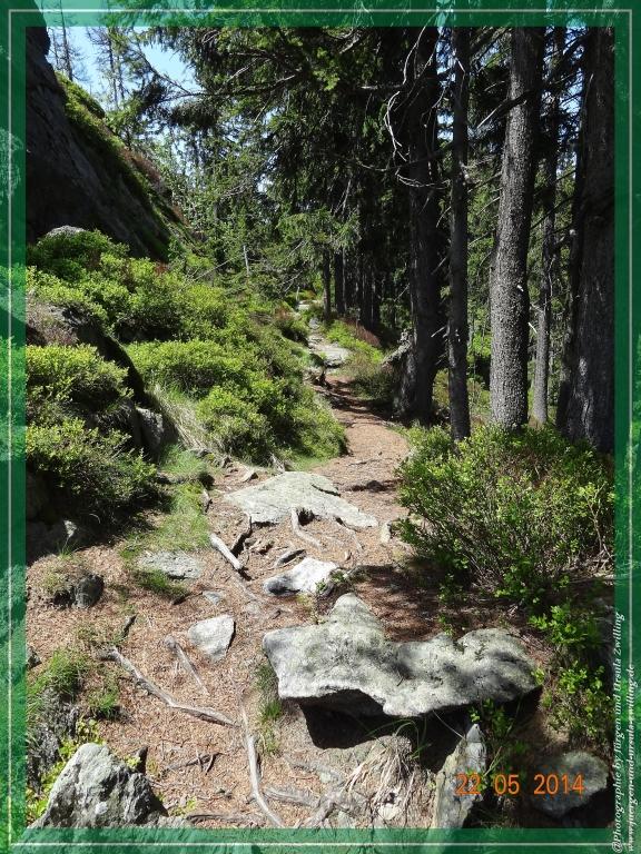 Philosophische Bildwanderung Zwercheck Osser –Bayerischer Wald – Deutsch –Tschechische- Grenzwanderung