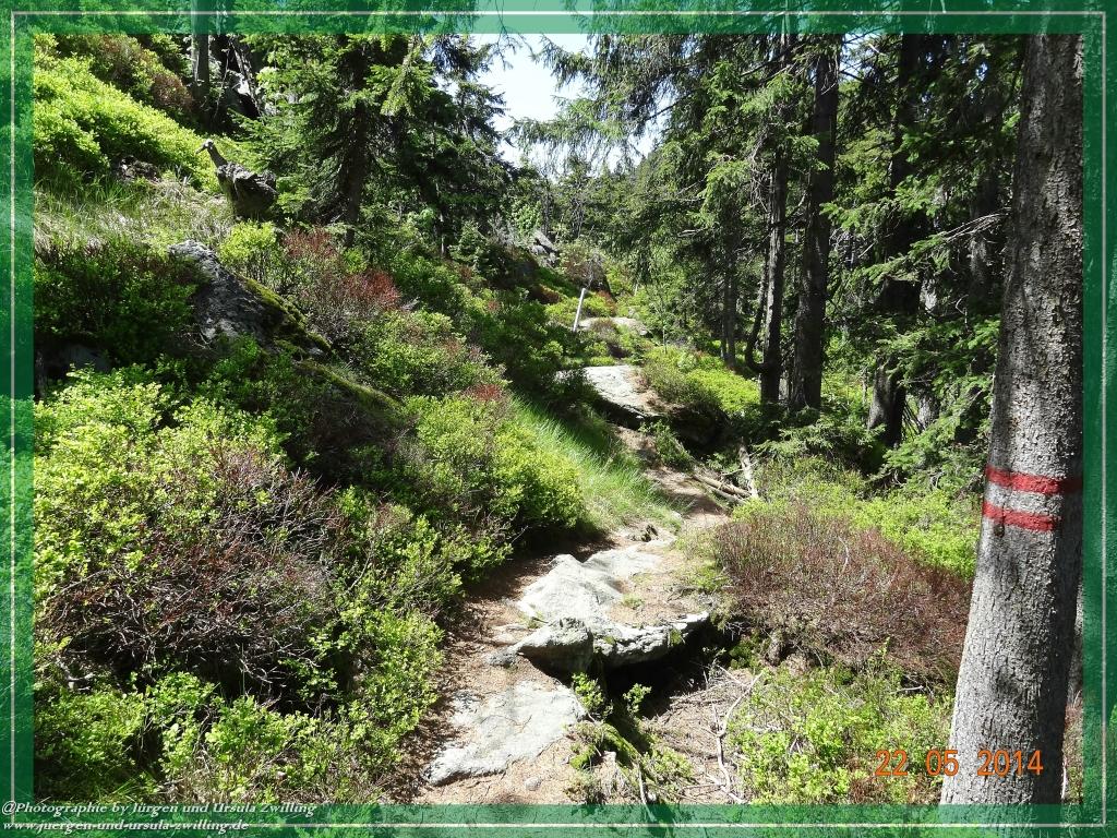 Philosophische Bildwanderung Zwercheck Osser –Bayerischer Wald – Deutsch –Tschechische- Grenzwanderung