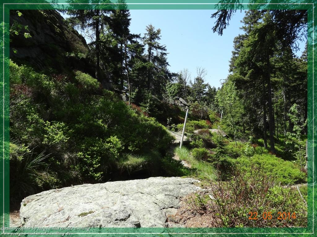 Philosophische Bildwanderung Zwercheck Osser –Bayerischer Wald – Deutsch –Tschechische- Grenzwanderung