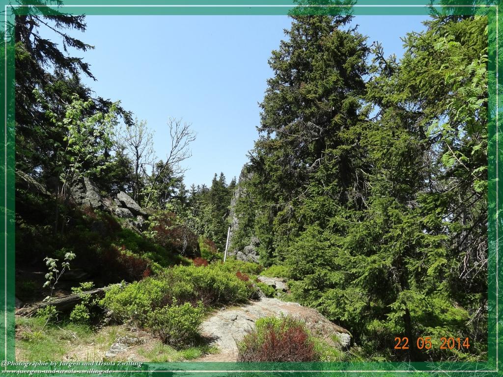 Philosophische Bildwanderung Zwercheck Osser –Bayerischer Wald – Deutsch –Tschechische- Grenzwanderung