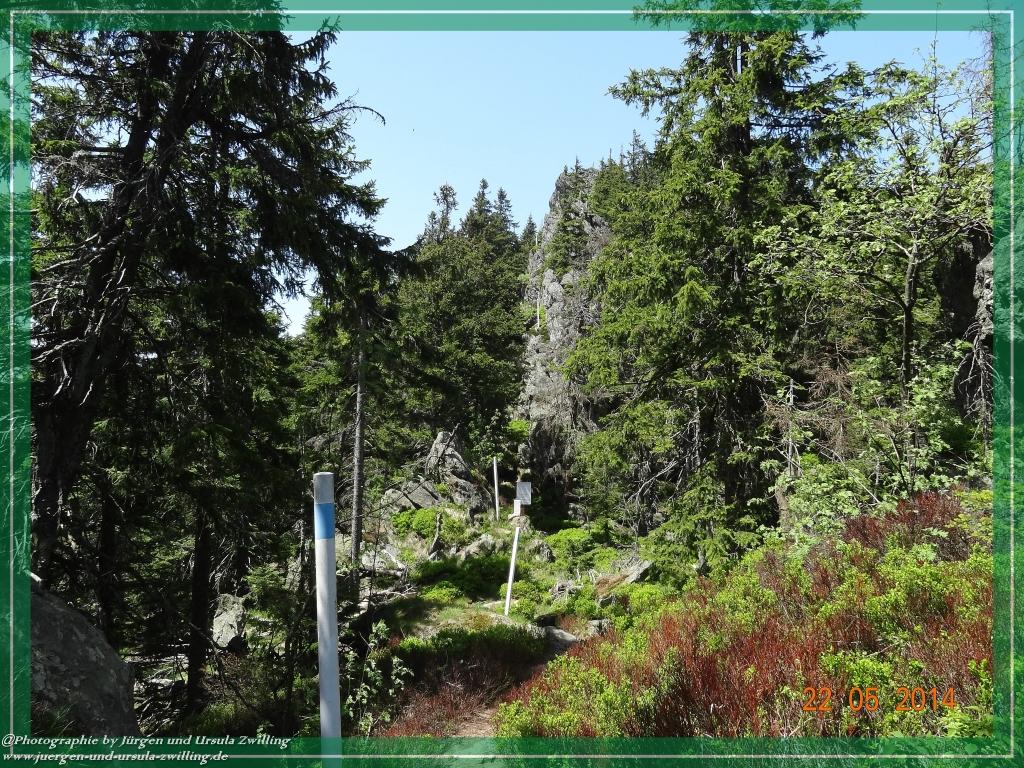 Philosophische Bildwanderung Zwercheck Osser –Bayerischer Wald – Deutsch –Tschechische- Grenzwanderung