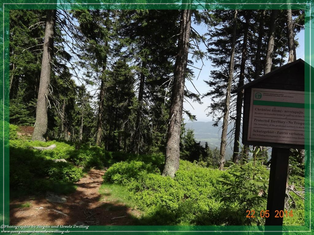 Philosophische Bildwanderung Zwercheck Osser –Bayerischer Wald – Deutsch –Tschechische- Grenzwanderung