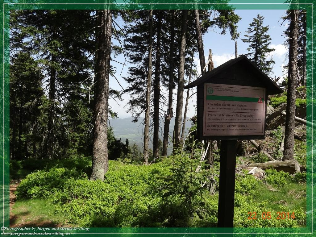 Philosophische Bildwanderung Zwercheck Osser –Bayerischer Wald – Deutsch –Tschechische- Grenzwanderung