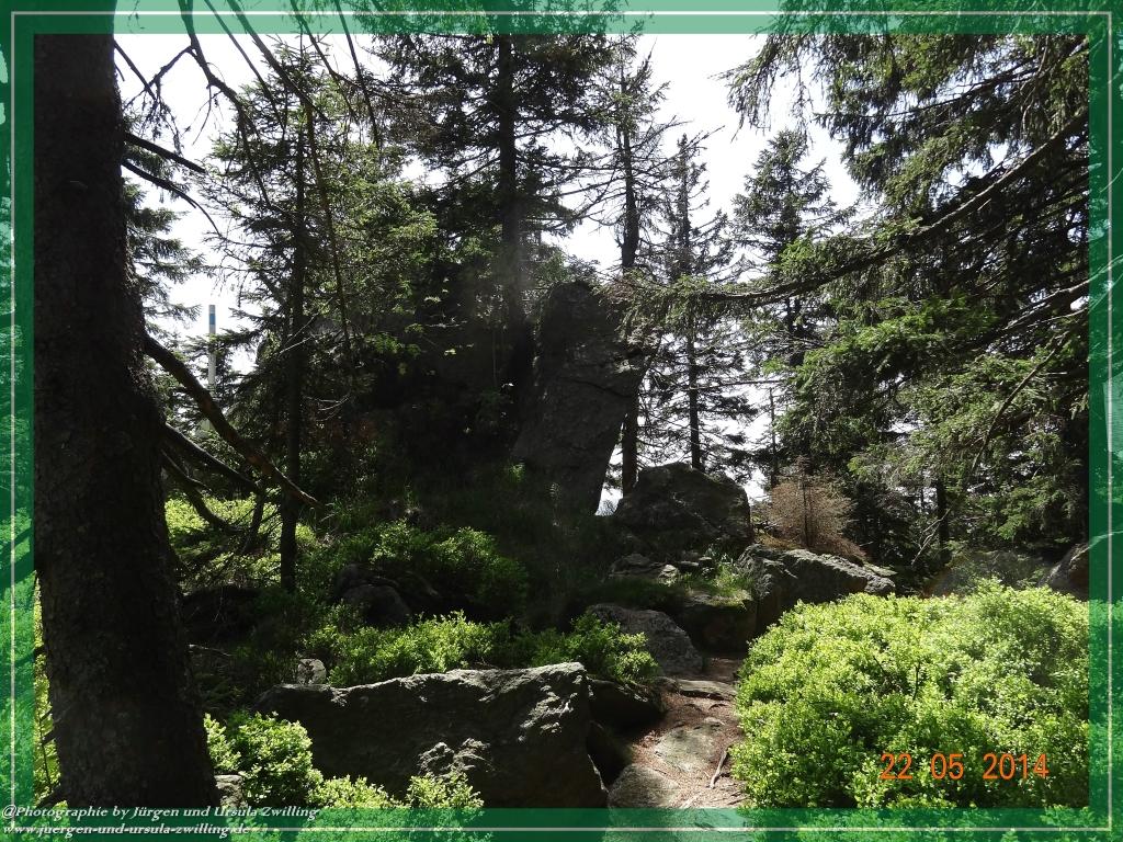 Philosophische Bildwanderung Zwercheck Osser –Bayerischer Wald – Deutsch –Tschechische- Grenzwanderung