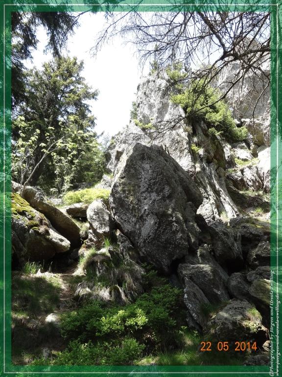 Philosophische Bildwanderung Zwercheck Osser –Bayerischer Wald – Deutsch –Tschechische- Grenzwanderung