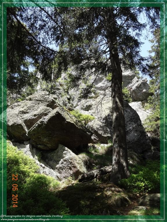 Philosophische Bildwanderung Zwercheck Osser –Bayerischer Wald – Deutsch –Tschechische- Grenzwanderung