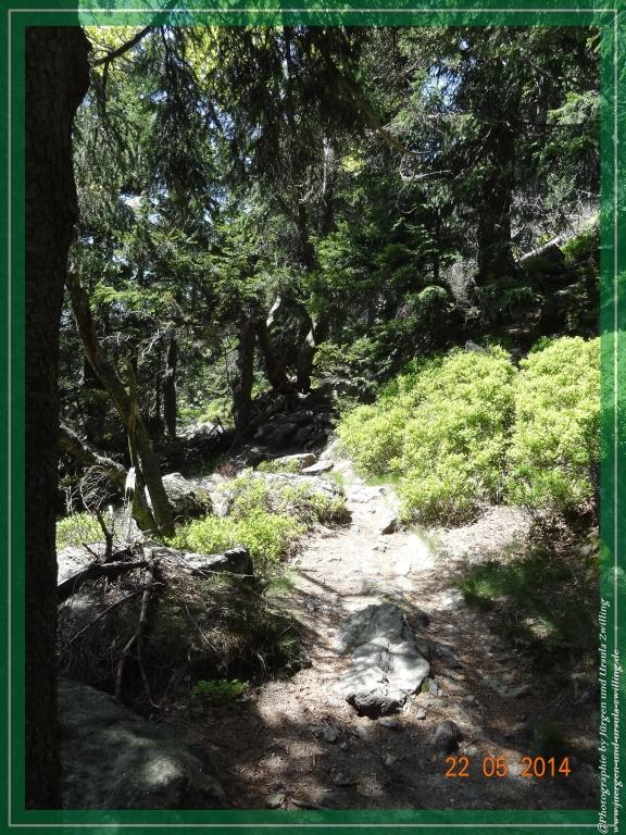 Philosophische Bildwanderung Zwercheck Osser –Bayerischer Wald – Deutsch –Tschechische- Grenzwanderung