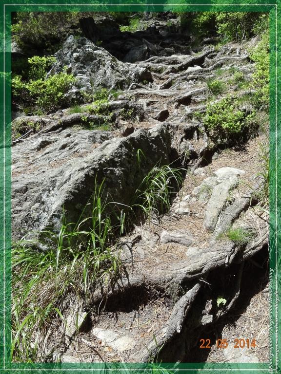 Philosophische Bildwanderung Zwercheck Osser –Bayerischer Wald – Deutsch –Tschechische- Grenzwanderung