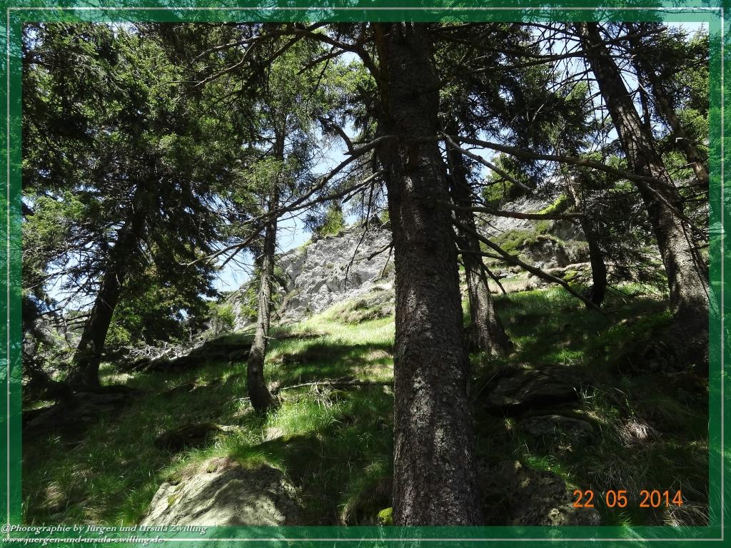 Philosophische Bildwanderung Zwercheck Osser –Bayerischer Wald – Deutsch –Tschechische- Grenzwanderung