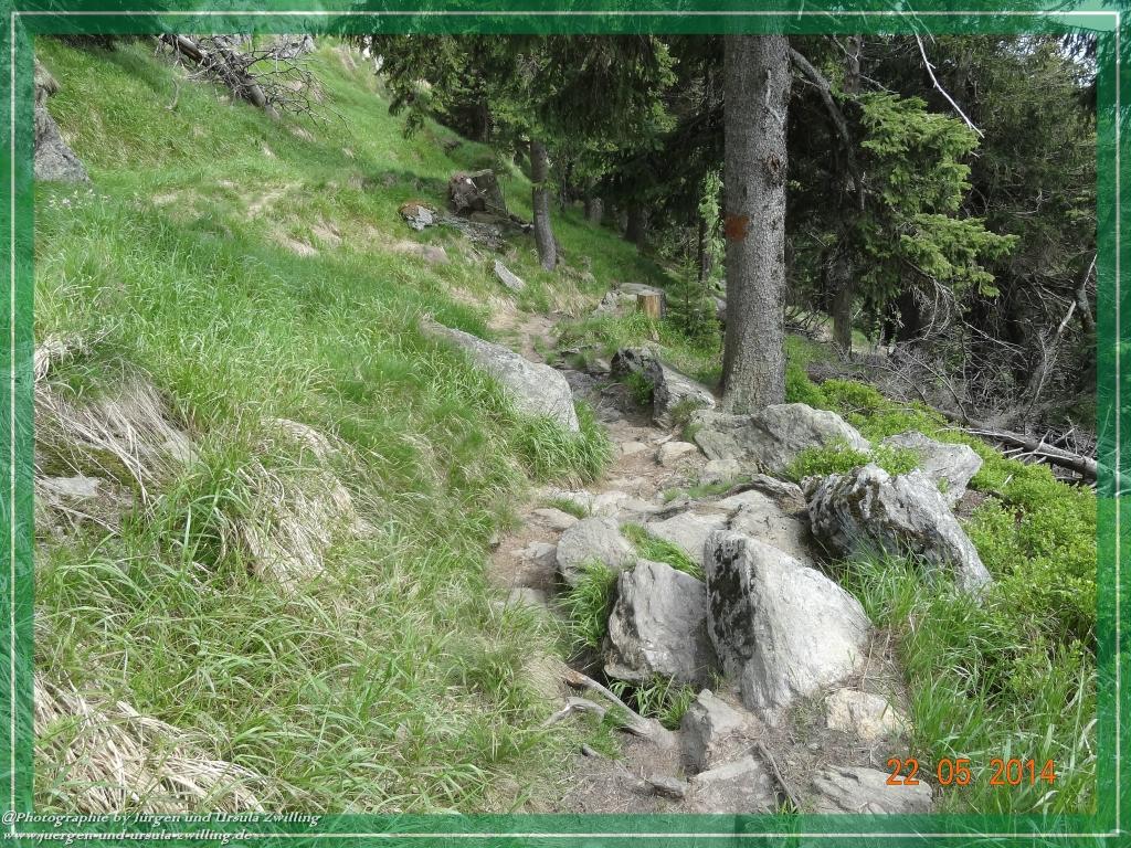 Philosophische Bildwanderung Zwercheck Osser –Bayerischer Wald – Deutsch –Tschechische- Grenzwanderung