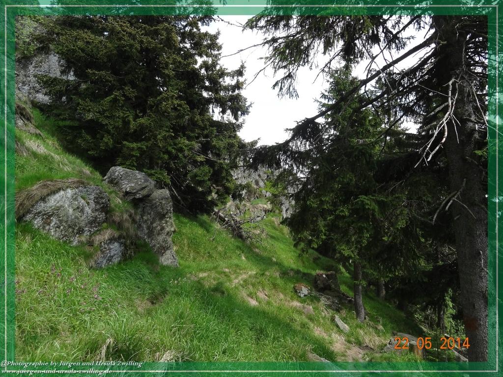 Philosophische Bildwanderung Zwercheck Osser –Bayerischer Wald – Deutsch –Tschechische- Grenzwanderung