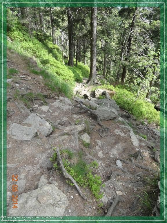 Philosophische Bildwanderung Zwercheck Osser –Bayerischer Wald – Deutsch –Tschechische- Grenzwanderung