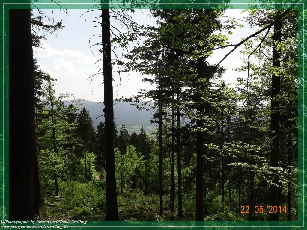 Philosophische Bildwanderung Zwercheck Osser –Bayerischer Wald – Deutsch –Tschechische- Grenzwanderung