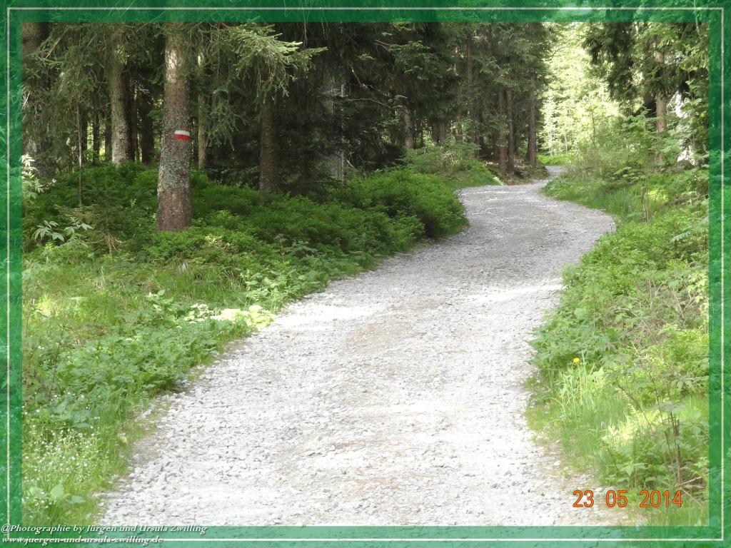 Philosophische Bildwanderung Brennes - Großer Arber - Kleiner Arber - Kleiner Arbersee – Mooshütte - Brennes - Bayerischer Wald