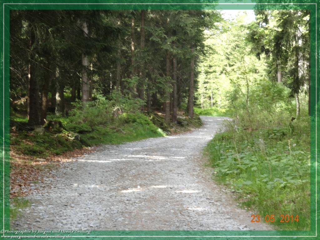 Philosophische Bildwanderung Brennes - Großer Arber - Kleiner Arber - Kleiner Arbersee – Mooshütte - Brennes - Bayerischer Wald