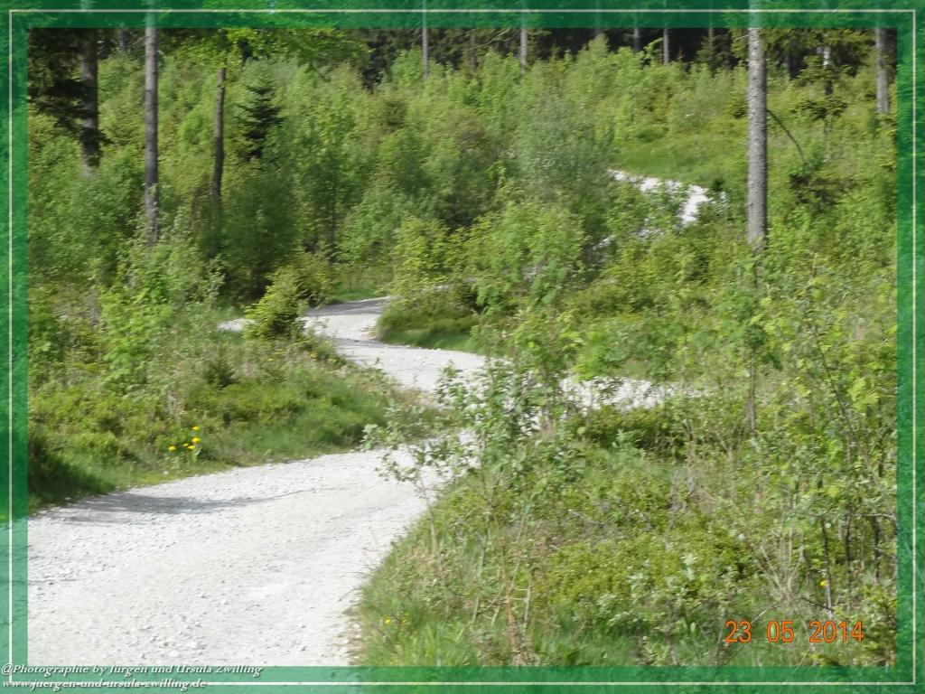 Philosophische Bildwanderung Brennes - Großer Arber - Kleiner Arber - Kleiner Arbersee – Mooshütte - Brennes - Bayerischer Wald
